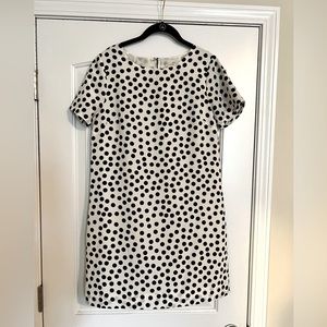 J. Crew Factory Polka Dot Dress